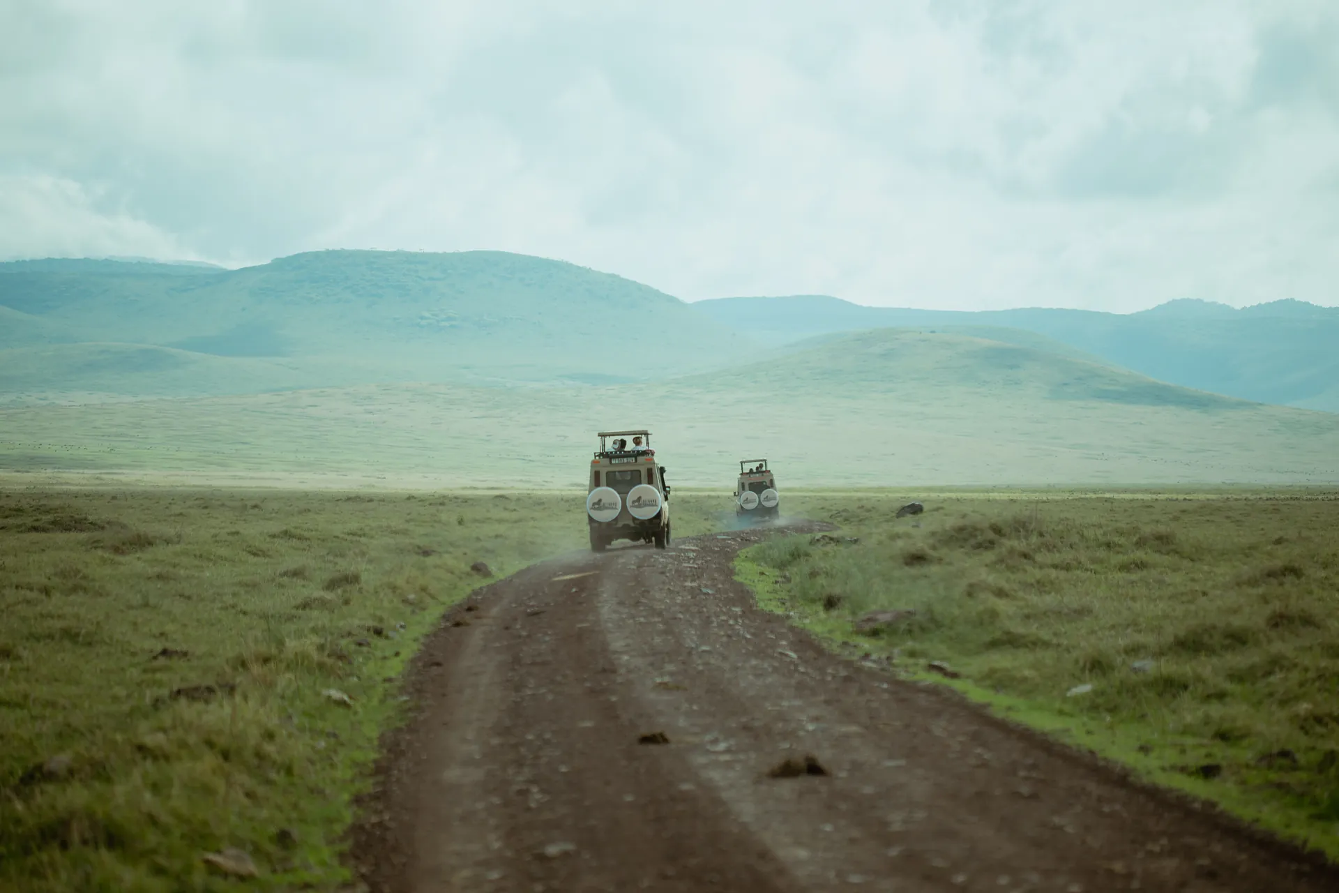 Wildlife in an East African safari landscape